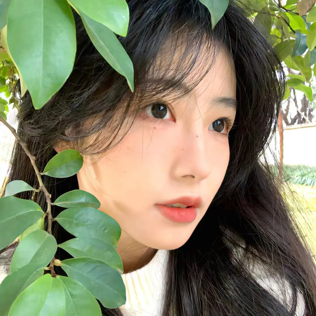 飞向星星的你