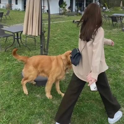 骗子雅各布